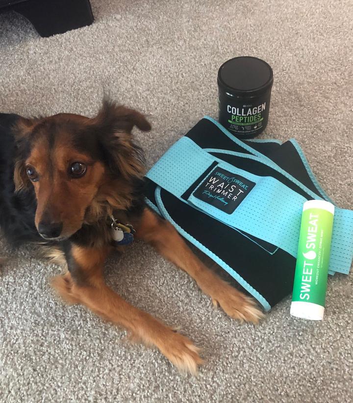 Get In Shape with Your Dog!